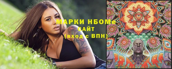стафф Осинники