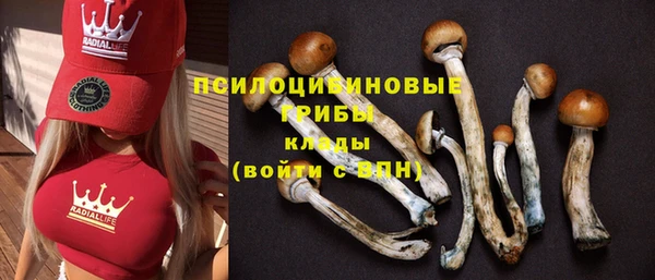 марки nbome Няндома
